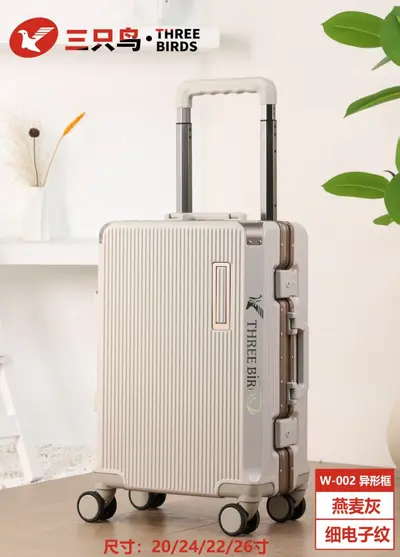 Durable 24-Inch Large-Capacity Trolley Suitcase - 11