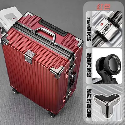 Ride-On Trolley Suitcase with Large Capacity and Combination Lock, Durable - 10