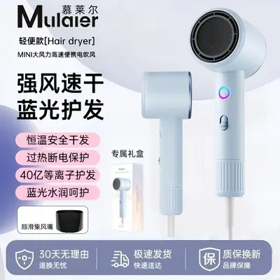 High-Power Negative Ion Hair Dryer with Hot and Cold Settings, Quiet