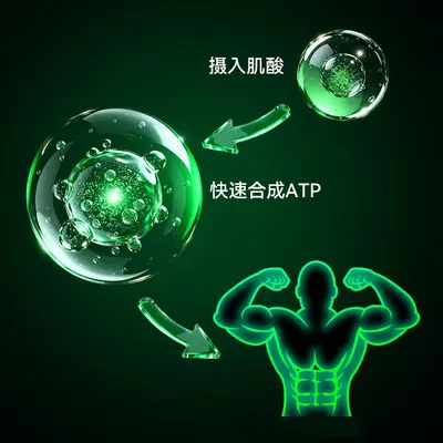 【U先试用】训练怪兽一水肌酸条装肌酸运动营养补剂增耐力爆发力