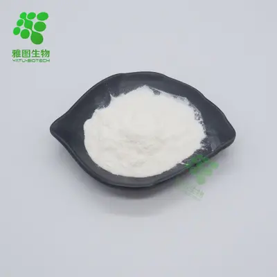 Kreatin Hidroklorür Tozu, Gıda Sınıfı - 3
