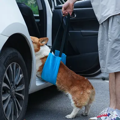 Amazon Pet Поддерживающая шлея для пожилых и больных собак, помощь на лестнице и при посадке в машину, реабилитационный поддерживающий ремень для тренировок