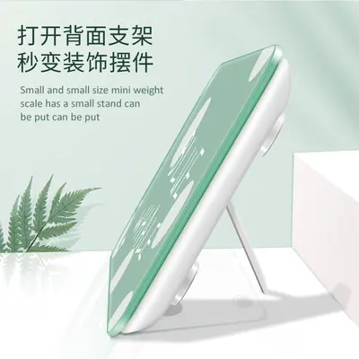 Mini Digital Weight Scale, Portable Rechargeable Model
