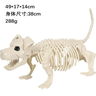 Halloween Skeleton Figure, Realistic Human Skeleton Walking Dog, Party and Yard Decoration - 11