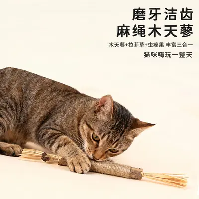 5-Piece Cat Toy Set with Interactive Teaser Toys, Catnip and Silvervine Teeth-Cleaning Pet - 4