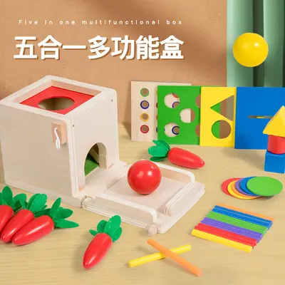 Grenzüberschreitende Montessori-Holzspielzeugbox 4-in-1/5-in-1 mit Münzeinwurf, multifunktional, mit Karotten- und Zielboxen-Funktion für frühkindliche Bildung - 4
