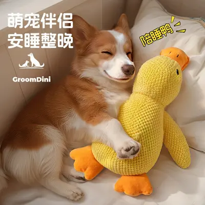 Plush Dog Toy with Squeaker, Durable, Chew-Resistant - 4