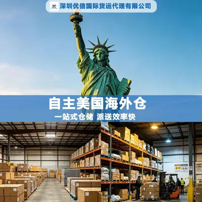 US sea freight full container, customs clearance and duty-paid direct delivery line, counterfeit-brand/sensitive goods LCL consolidation, cross-border logistics to port