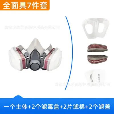 CE6200 Gas Mask with Dust Goggles, Protection Against Dust and Fumes - 7