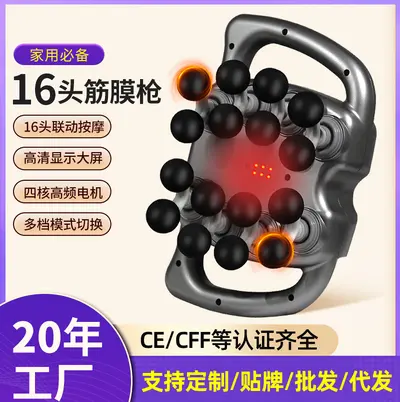 Professional 16-Head Massage Gun, High-Frequency Vibration Muscle Massager - 2