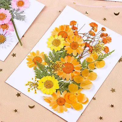 Getrocknete Pressblumen-Materialpaket für DIY-Epoxidharzprojekte