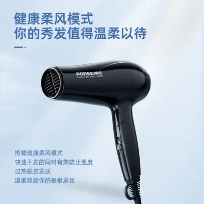 High-Power Hair Dryer with Strong Airflow, Model PH1626