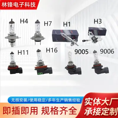 Car H4 Halogen Bulb H1 H8 H11 H3 9005 9006 Headlight, Fog Light and High/Low Beam Bulb