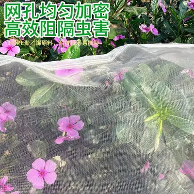 Pflanzenschutz-Insektennetz mit Kordelzug und Reißverschluss