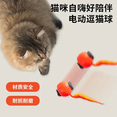 新款宠物逗猫球玩具猫猫智能滚滚球宠物猫自嗨专用用品玩具批发