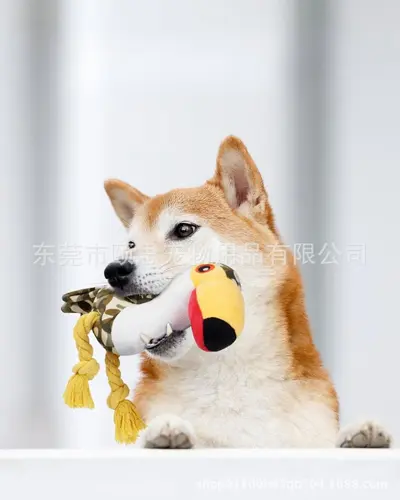 跨境爆款狗狗玩具毛绒发声充棉绳结磨牙啃咬玩具金毛泰迪小狗玩具