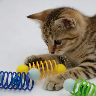 Plush Mouse Cat Toy with Bell and Spring, Self-Play Teaser - 4