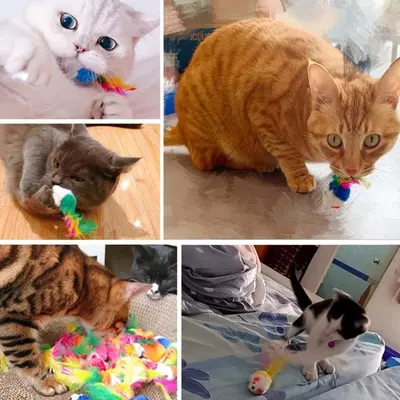 Colorful Feather Mouse Cat Teaser Toy - 5