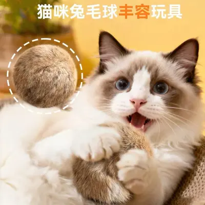 Cat Toy Rabbit Fur Ball with Catnip and Gall Berry - 1