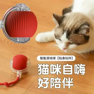 Automatic Dog Toy Ball, Chew-Resistant, for Small Dogs - 4
