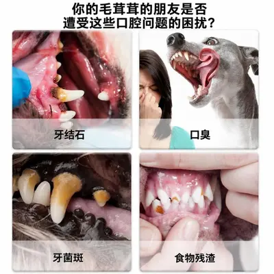Sınır Ötesi Pet Diş Fırçası Kalemi Pet Diş Temizleme Kalemi Evrensel Kedi Köpek Diş Taşı Temizleme Güzellik Kalemi Oral Temizlik Bakım