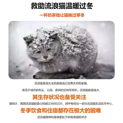 Winter Cat House, Indoor Cat Tent, Warm and Durable