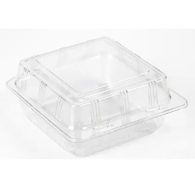 Transparent Plastic Picnic Storage Box for Cakes and Hamburgers, Portable - 7
