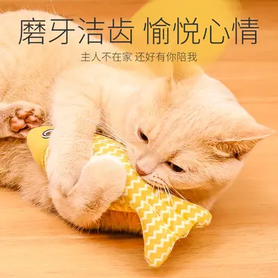 Self-Play Catnip Realistic Fish Cat Teaser Toy for Kittens