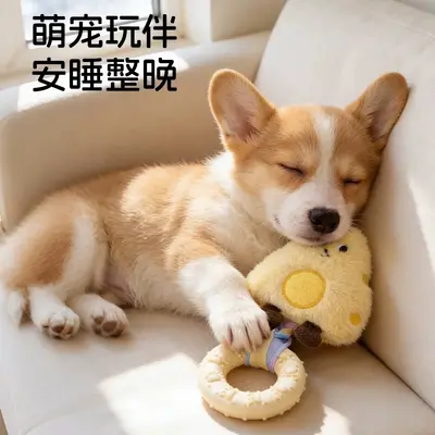 Squeaky Dog Toy with TPR Chew Donut for Corgi and Bichon - 3