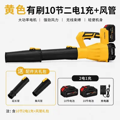 Lithium Battery Air Blower, Multi-Speed, for Dust and Snow Removal - 11