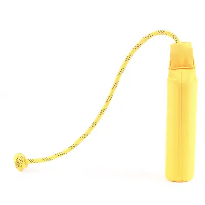 Large Dog Chew Bar Toy, Oxford Cloth, Water and Throw Toy