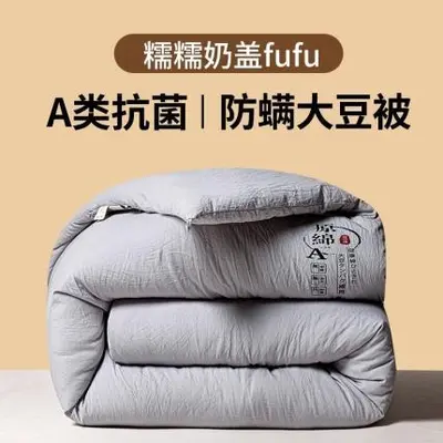 Class A Comforter Soybean Fiber Quilt Spring Autumn 2-in-1 Mother-Child Duvet Student Dormitory Single Person Thickened Winter Quilt Core - 8