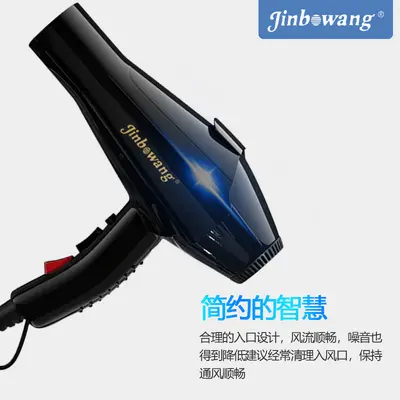 Jinbo Wang 9930 Professional Hair Dryer, Blue Light, Negative Ion