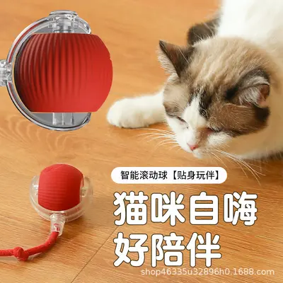 Cat Toy Ball with Rope, Self-Play Rolling Ball - 4