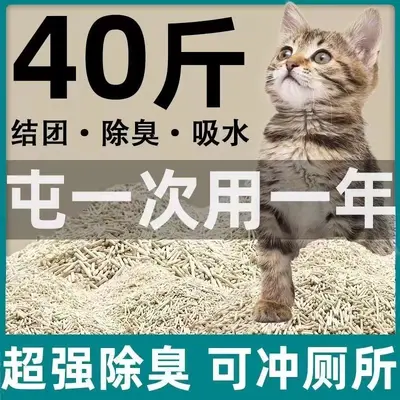 10 Jin (5 kg) Tofu Cat Litter, Deodorizing, Low Dust