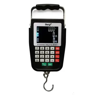 Voice pricing scale, rechargeable portable handheld
