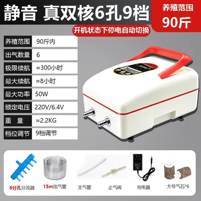 Rechargeable Outdoor Oxygen Pump, Lithium Battery, AC/DC - 3
