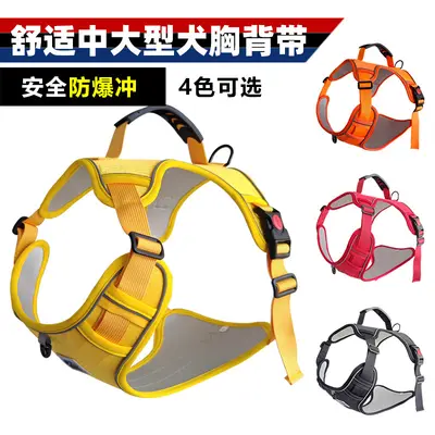 Adjustable Dog Harness with Retractable Leash for Pets