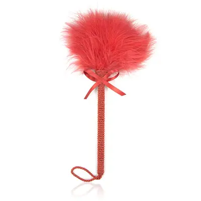Feather Teaser Wand, Cat Toy, Pet Play Accessory - 9