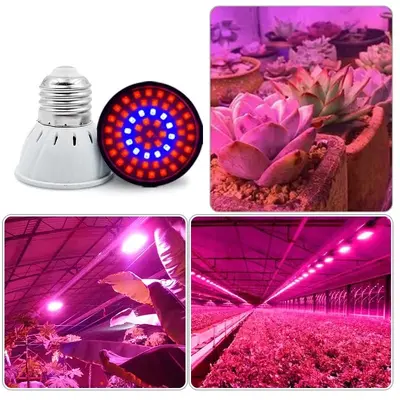 Sınır ötesi E27 bitki yetiştirme lambası fincanı LED bitki lambası fincanı 48 boncuk 60 boncuk 80 boncuk etli fide ekstra ışık stokta