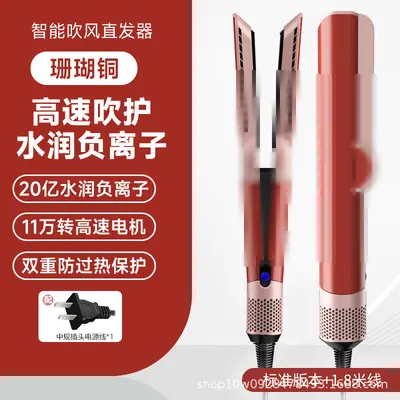 Negative Ion Dry and Wet Hair Dryer with HT01 Hair Straightener Function - 8
