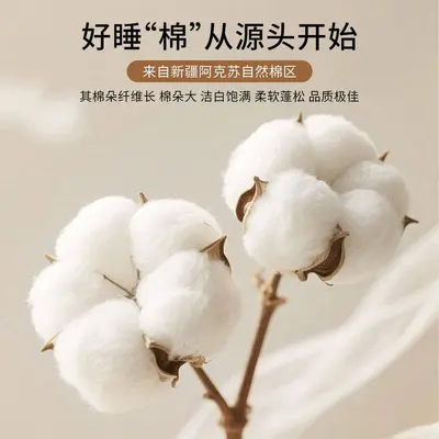 Xinjiang Pamuk Yorgan, Kalınlaştırılmış Tek Kişilik, Dört Mevsim