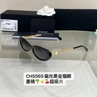 2026 Women's Polarized Oval Cat Eye Sunglasses, Model 5565 - 1