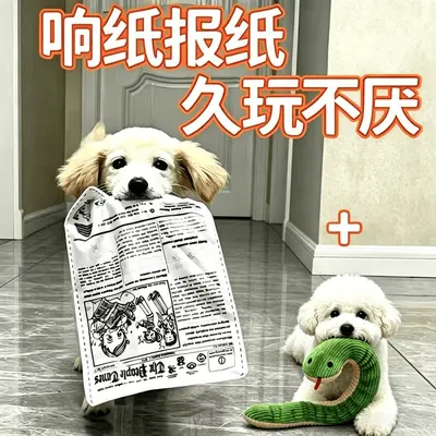 Squeaky Dog Toy, Bite-Resistant, Noisy Paper Toy - 11