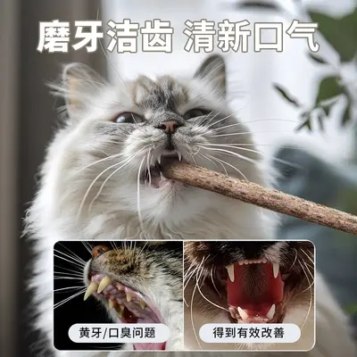 Silvervine Chew Stick 48cm Long Handle, Catnip Cat Teaser Wand Toy - 6