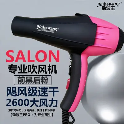 Jinbo Wang 9930 Professional Hair Dryer, Blue Light, Negative Ion - 8