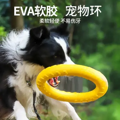 Large Dog Toy Ring Frisbee with Tug Ring, Chew-Resistant - 2