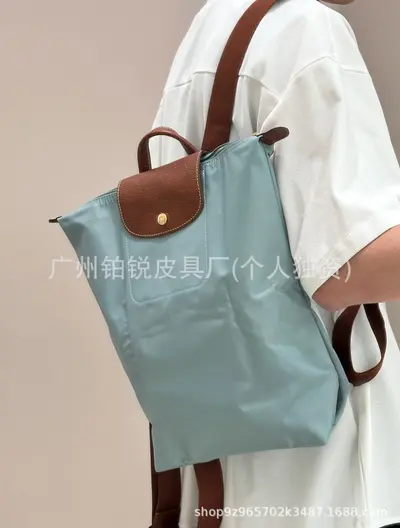 Dragon Print Waterproof Nylon Backpack - 12