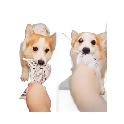 Dog Squeaky Crinkle Paper Chew Toy for Small and Medium Dogs - 6