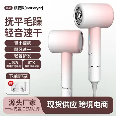 Foldable High-Speed Hair Dryer, High Power, Travel Size